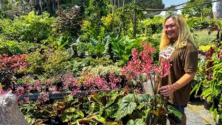 Nursery With Gorgeously Grown Classics & Illusive Plant Finds