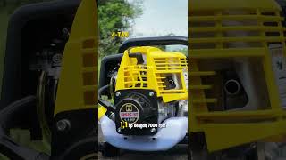 YT
