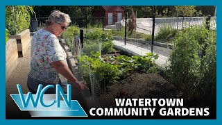 mqdefault.jpg