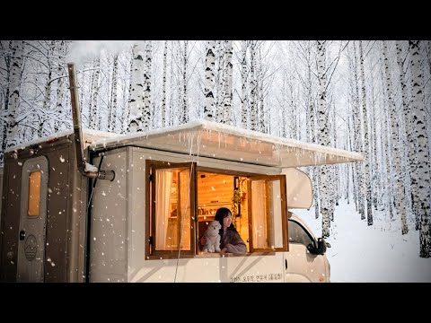 ❄️ Camping mit meinem Hund in einer LKW-Kabine mit Holzofen in einem verschneiten Birkenwald