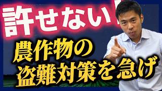 盗るんじゃない！農産物の盗難対策を考える 【国民民主党】　かごしま彰宏