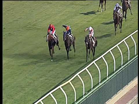 Galoppo 28/08/2019 - 4ª corsa