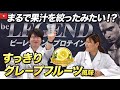 【腸内フローラをサポート】ビーレジェンド リアファイバー すっきりグレープフルーツ風味をレビュー【ビーレジェンド プロテイン】