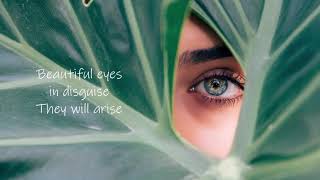 The Naked Brothers Band - Beautiful Eyes (Lyrics 2019)