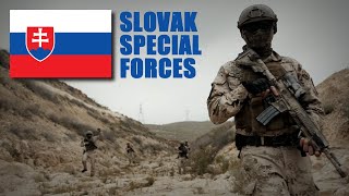 Slovak🇸🇰 Special Forces compete in Warrior Competition