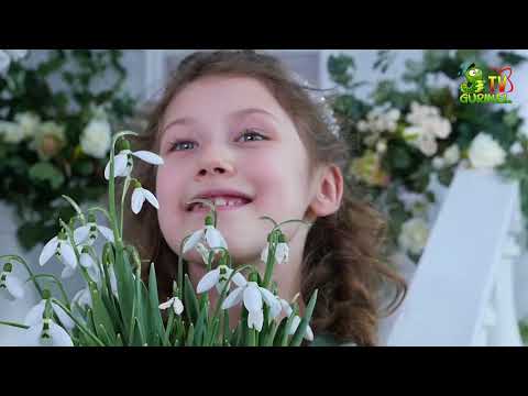 Lollipops - Ghiocelul