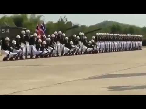 Incredible Human Wave