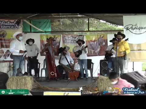 15 festival  Cultural llanero el burro oro. Mi burro criollo y un virus.