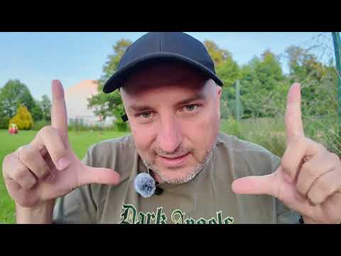 💥 Jaki jest Koń Schrödingera każdy widzi, raz prawnik, raz bezprawnik i gra zawsze przeciw państwu!