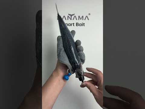 Ultimate Fishing Trip – You Won’t Believe This Catch! 😲