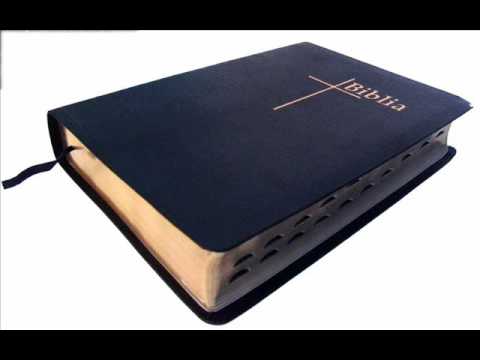 Evanghelia dupa Matei   capitolul 27   Noul Testament   BIBLIA
