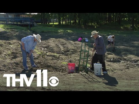 Why this Arkansas state park became a diamond in the rough