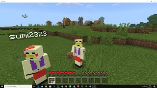 【Minecraft】テスト配信【】