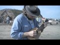Tom Freund - "Queen of the Desert"