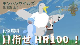 【目指せHR100！】🤖＜ひと狩りしようぜ！【モンスターハンターワイルズ】