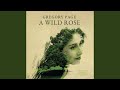 A Wild Rose