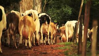 Empreendedor Rural — SENAR-PR