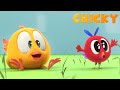 Where S Chicky SEASON 2 THE COUNTRYSIDE Chicky Cartoon In English For Kids