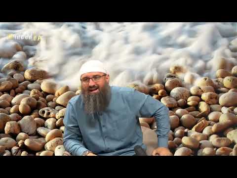 Da li nakon Džume treba klanjati i podne? - Elvedin Pezić