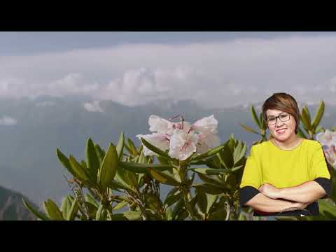 KHOTBAH PDT DEBBY BASJIR | TERHIMPIT KEKHAWATIRAN #khotbahdebbybasjir #debbybasjir