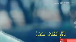 كلمات اغنية اخد موقف حسان عيسى