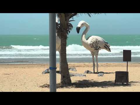 Aarna is in Ras Al Khaimah| Flamingo Beach