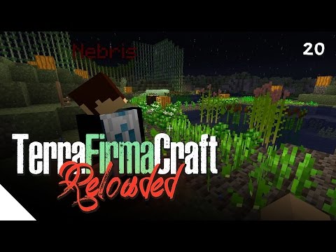 "Charcoal Pit" :: TerraFirmaCraft Reloaded - Episode 20