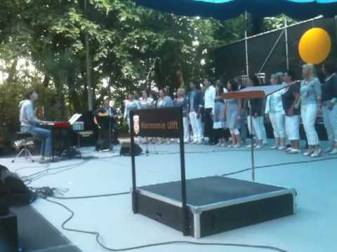 Popkoor4You Gendringen Muziekfestival Hallelujah