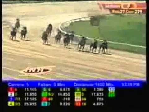 Resumen Viernes, 23 de Mayo de 2014 - Valencia