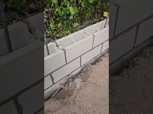 Vídeo relacionado con Cabeeskii 337 Piezas de Ladrillos de Perfil de mampostería, Bloques de Ladrillos de Pared de construcción, Juegos de Vallas de Puertas de Ventanas, Piezas de Juguete, compatibles con Las Principales
