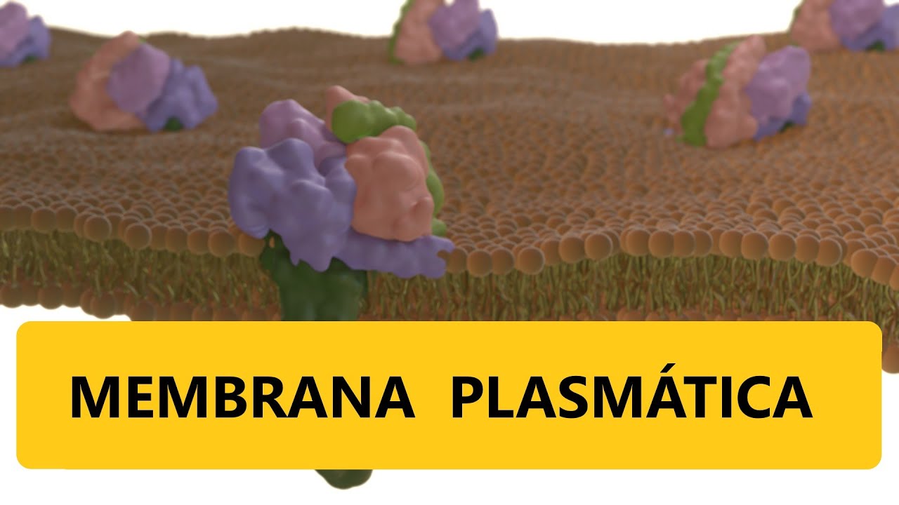 AULA MEMBRANA PLASMÁTICA - biologia /Estrutura da célula