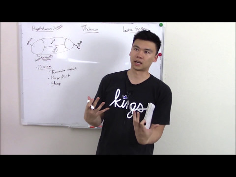 USMLE Neurology 10 Neuroanatomy: Hypothalamus, Thalamus, Limbic System