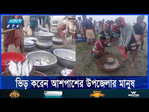 পদ্মার মাছের পাইকারী হাট কুষ্টিয়ার বৈরাগীরচর