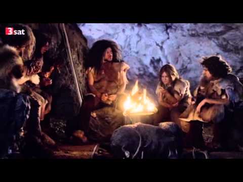 Der Neandertaler - Homo neanderthalensis