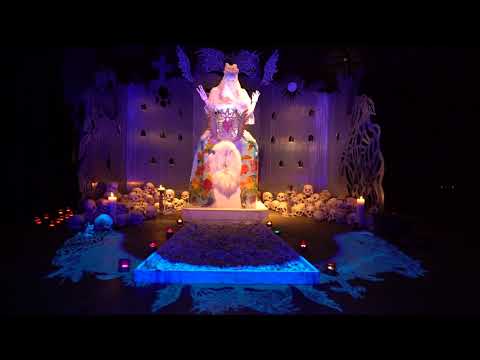 Rebis Transpersonal Therapies video.