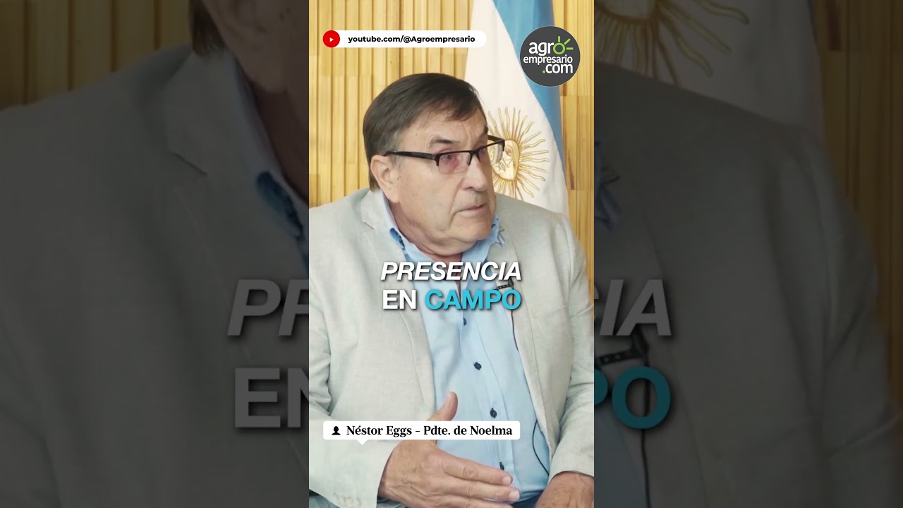 Nestor Eggs - Presidente- Noelma