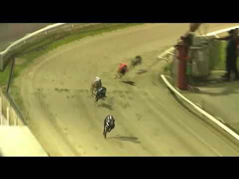 2019 KENT ST LEGER - HEAT 3 - T6 ROXHOLME DOLLY