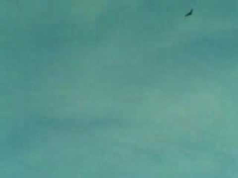 faze comice cu badea bistra.avi