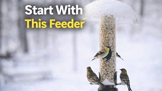 Which Bird Feeder Should You Buy First? (Beginner’s Guide)