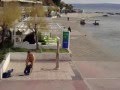 Tarzan se pere u podne 