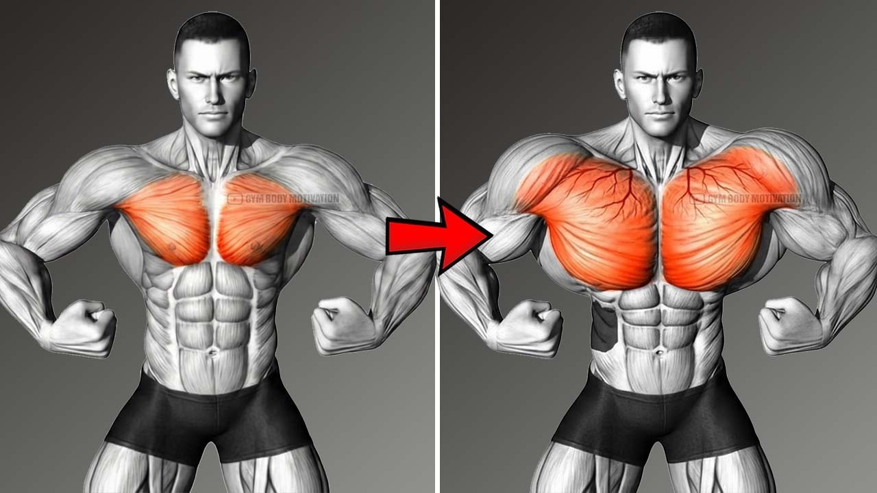 The Only 6 Chest Exercises You Need for a 3D Chest