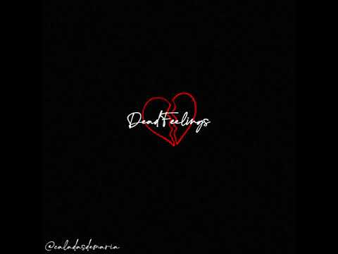 2. Airam Calada$ - Kiiid Yeiii (prod. @caladasdemaria)