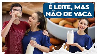Como fazer leite de castanhas | vegano