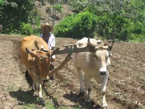 EL BARZON CON LUIS PEREZ MEZA