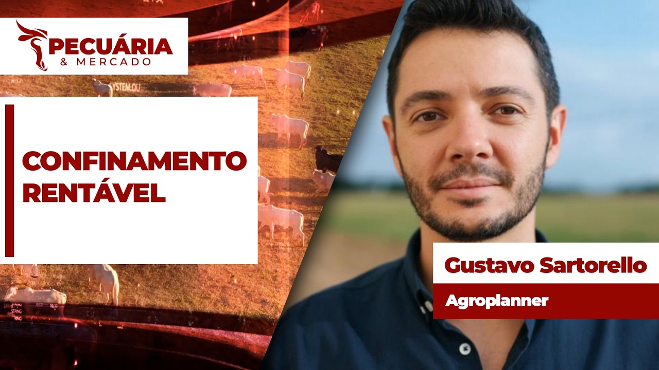 Confinamento para último trimestre tem margens positivas mesmo diante de pressão nos preços da...