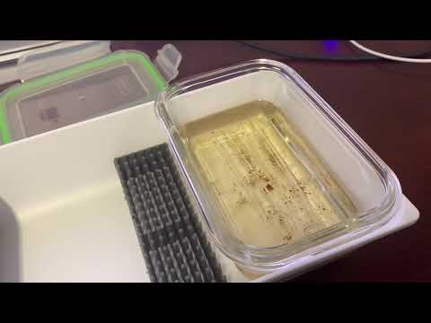 How to clean your Arizer Solo 2 Glass Tubes