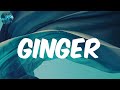 WizKid (Lyrics) Ginger (feat. Burna Boy)