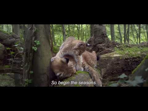 Времена года | Les saisons | Трейлер  | 2015