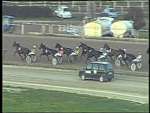 Trotto 27/12/2015 - 5° corsa