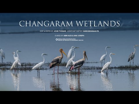 Documentary video 1 thumbnail